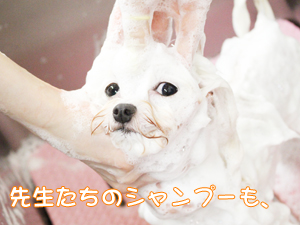 ２年生へ向けて！先生の試技会①♪